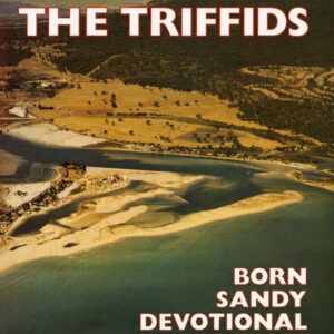 The Triffids